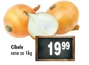 Qanto Cibule nabídka