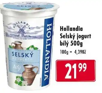 Qanto Hollandia Selský jogurt bílý 500g nabídka
