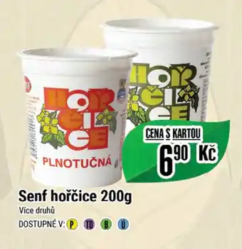 Tamda Foods Senf hořčice 200g nabídka