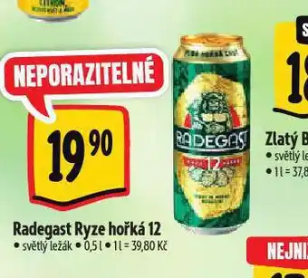 Albert Pivo radegast ryze hořká 12 nabídka