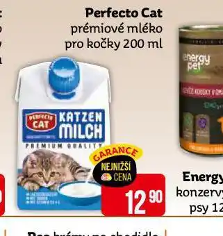 Teta Perfecto cat prémiové mléko pro kočky nabídka