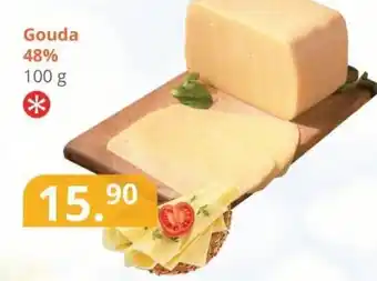 Potraviny CZ Gouda 48% nabídka