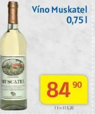 Kubík potraviny Víno Muskatel 0,75L nabídka