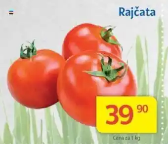 Kubík potraviny Rajčata nabídka