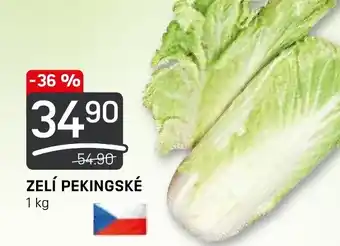 Flop ZELÍ PEKINGSKÉ nabídka