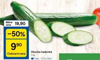 Tesco Okurka hadovka nabídka