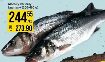 Jip Mořský vlk celý kuchaný (300-400 g) nabídka
