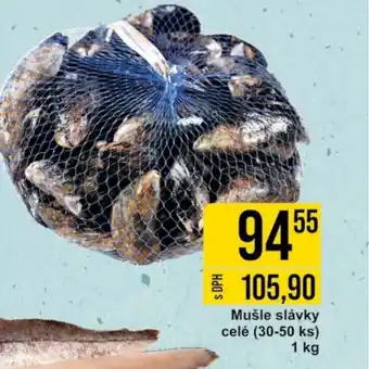 Jip Mušle slávky celé (30-50 ks) 1 kg nabídka