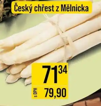 Jip Český chřest z Mělnicka nabídka