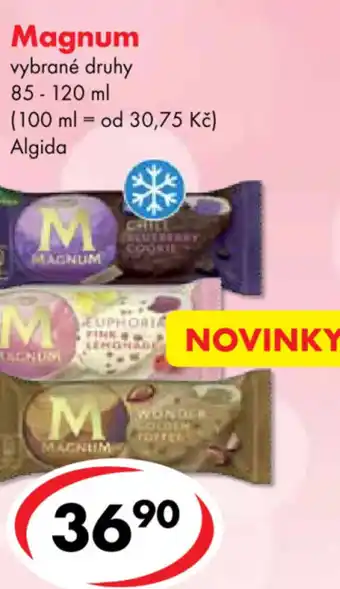 CBA Magnum nabídka