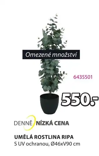 JYSK UMĚLÁ ROSTLINA RIPA nabídka