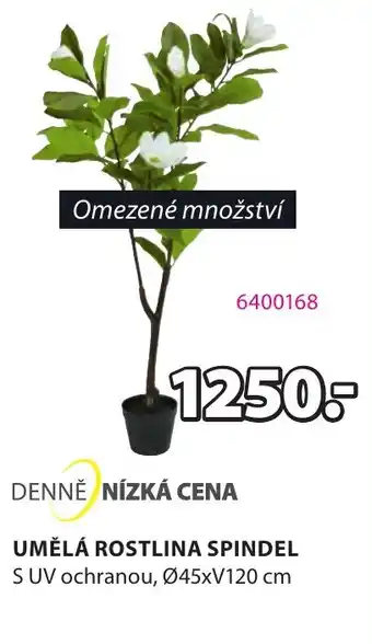 JYSK UMĚLÁ ROSTLINA SPINDEL nabídka