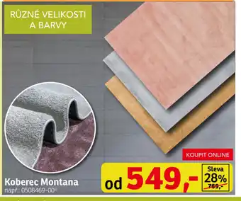Asko Koberec Montana nabídka