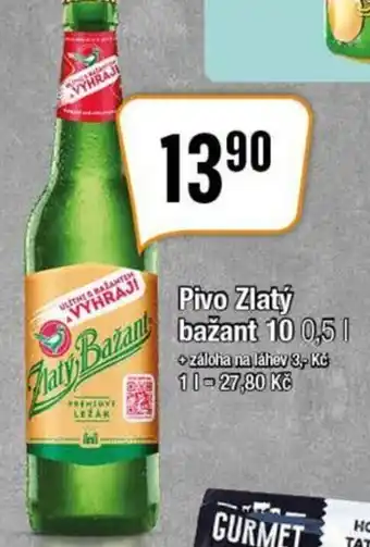 TEMPO Pivo Zlatý bažant 10 nabídka