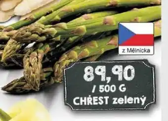 Jip CHREST zelený nabídka