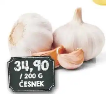Jip ČESNEK nabídka