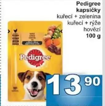 Jip Pedigree kapsičky nabídka