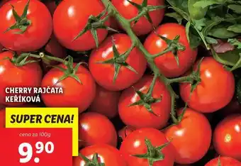 Lidl Cherry rajčata keříková nabídka