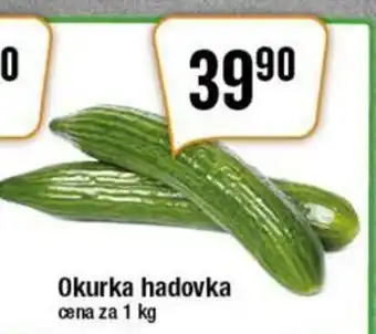 Okurka hadovka cena za 1 kg