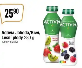 TEMPO Activia Jahoda/Kiwi, Lesní plody nabídka