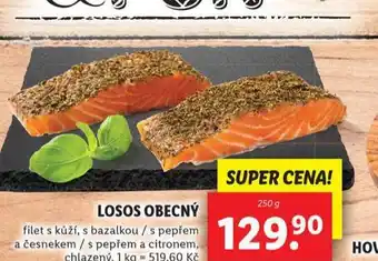 Lidl Losos obecný nabídka