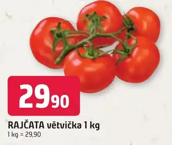 Trefa RAJČATA větvička 1 kg nabídka