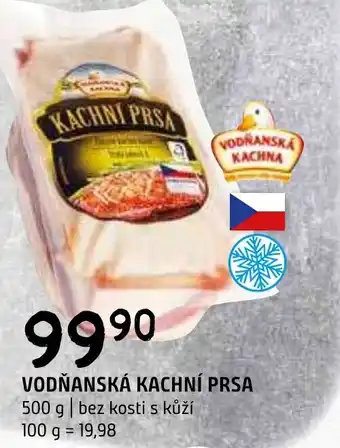 Terno VODŇANSKÁ KACHNÍ PRSA nabídka