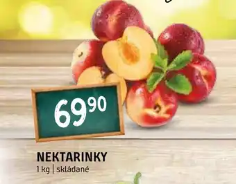 Terno NEKTARINKY nabídka