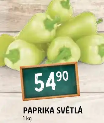 Terno PAPRIKA SVĚTLÁ nabídka