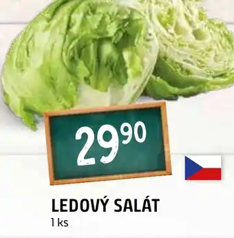 Terno LEDOVÝ SALÁT nabídka