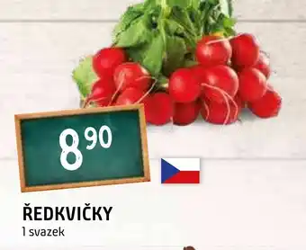 Terno ŘEDKVIČKY nabídka