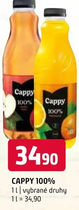 Terno CAPPY 100% 1L nabídka