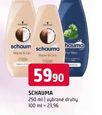Terno SCHAUMA nabídka