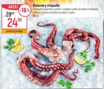Globus Kalamáry chapadla nabídka
