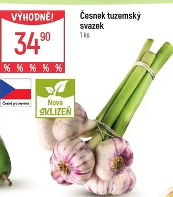 Globus Česnek tuzemský svazek nabídka