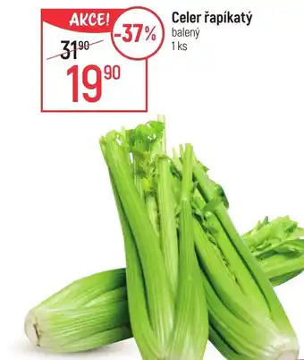 Globus Celer řapíkatý nabídka