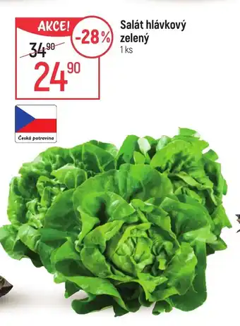 Globus Salát hlávkový zelený nabídka