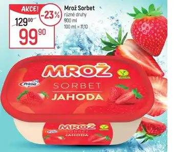 Globus Mrož Sorbet nabídka