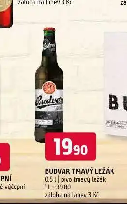 Terno Pivo budvar nabídka