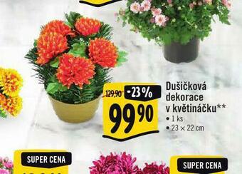 Albert Dušičkové dekorace v květináčku nabídka