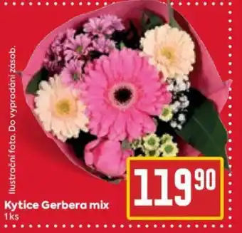 Billa Kytice Gerbera mix nabídka