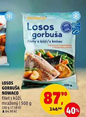 Penny Market LOSOS GORBUŠA NOWACO nabídka