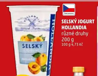 Penny Market SELSKÝ JOGURT HOLLANDIA nabídka