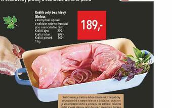 Globus Králík celý bez hlavy nabídka