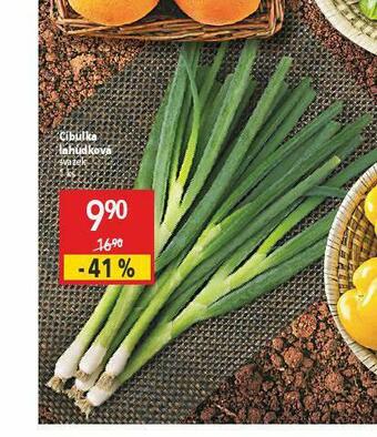 Globus Cibulka lahůdková nabídka