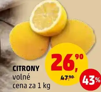 Penny Market CITRONY nabídka