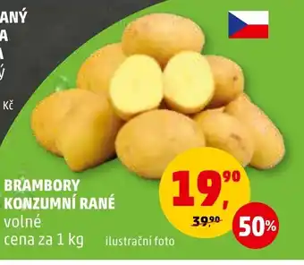 Penny Market BRAMBORY KONZUMNÍ RANÉ nabídka