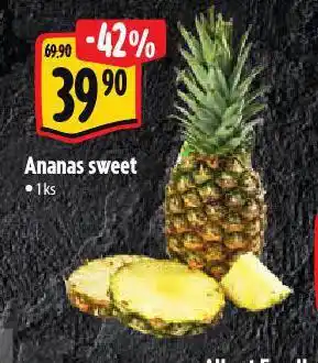 Albert Ananas nabídka