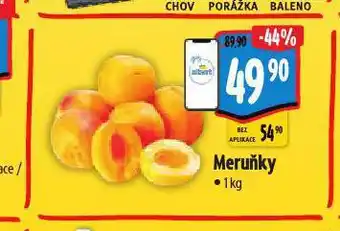 Albert Meruňky nabídka