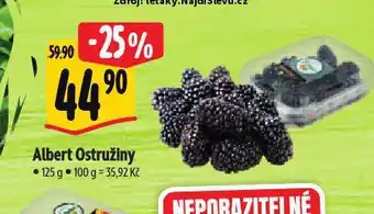 Albert Ostružiny nabídka